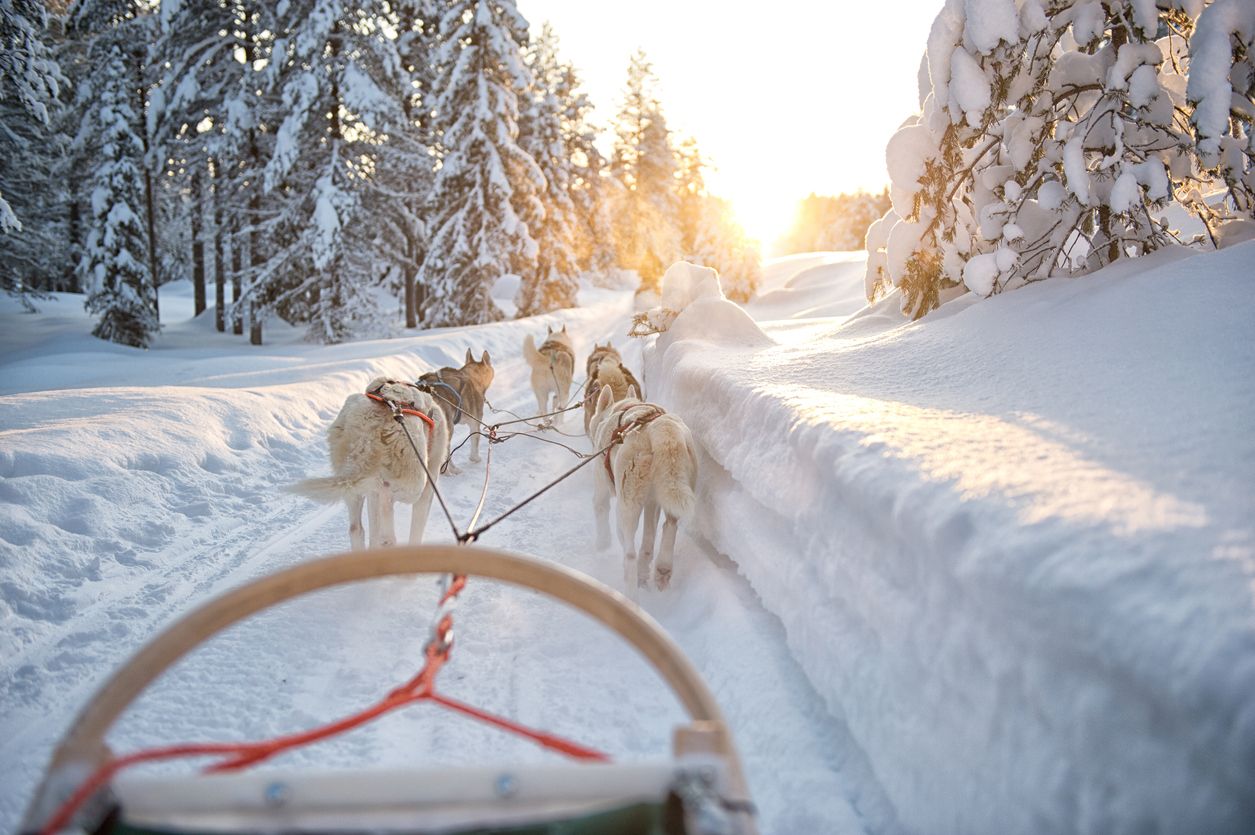 caxton-travel-smarter-blog-spend-christmas-with-santa-in-lapland (4).jpg